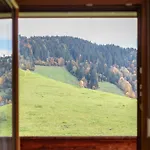 Tiroler Bergtraum 2 Apartment Wildschoenau