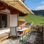 Apartment Tiroler Bergtraum 2 Wildschoenau