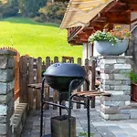 Apartment Tiroler Bergtraum 2 Wildschoenau