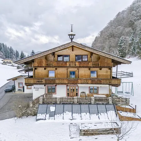 Tiroler Bergtraum 2 Wildschoenau