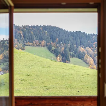 Tiroler Bergtraum 2 Apartment Wildschoenau