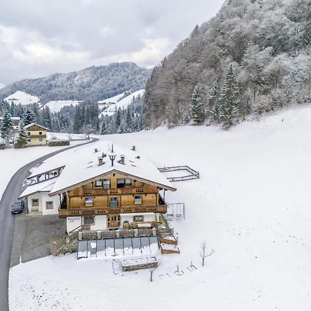 Tiroler Bergtraum 2 * Wildschoenau