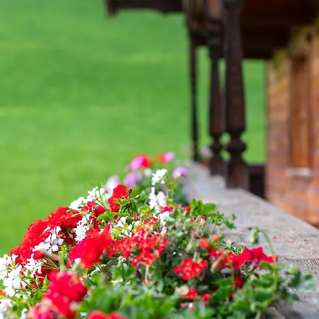 Tiroler Bergtraum 2 Apartmán Wildschoenau