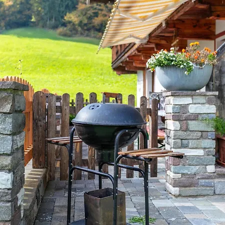Apartment Tiroler Bergtraum 2 Wildschoenau