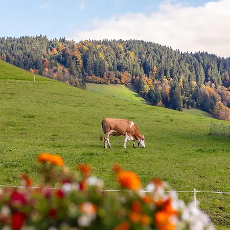Apartmán Tiroler Bergtraum 2 Wildschoenau