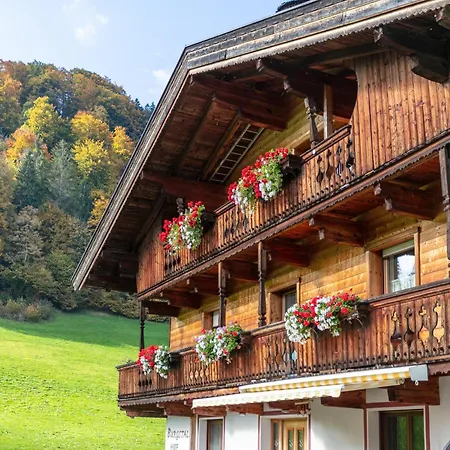 Tiroler Bergtraum 2 Apartment Wildschoenau