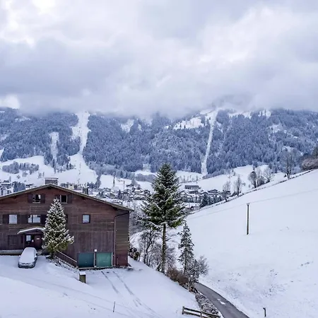 Tiroler Bergtraum 2 * Wildschoenau