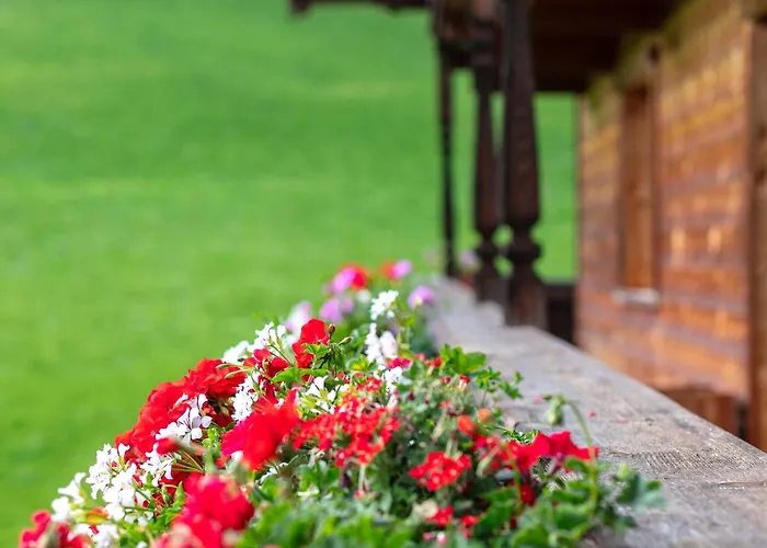 Tiroler Bergtraum 2 Апартаменты Вильдшёнау