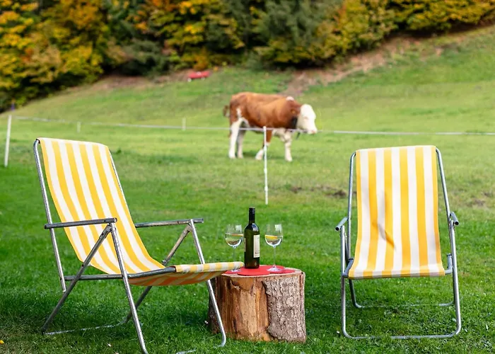 Tiroler Bergtraum 2 Апартаменты Вильдшёнау