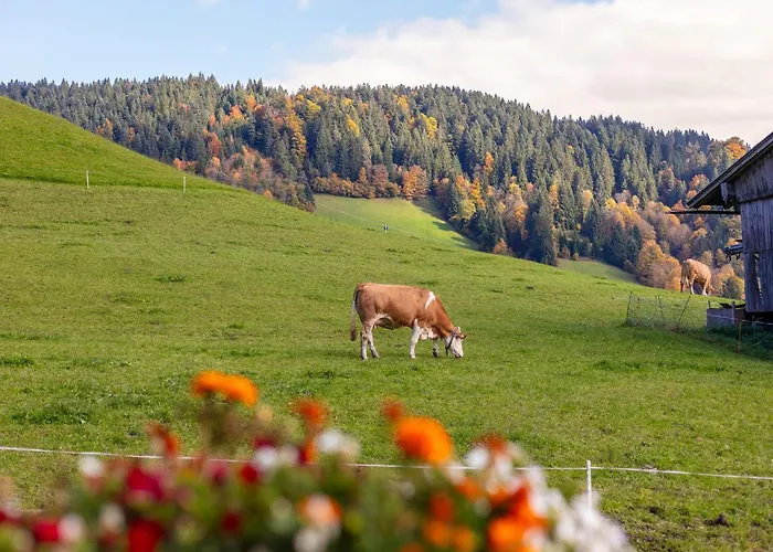 Апартаменты Tiroler Bergtraum 2 Вильдшёнау