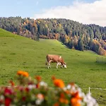 Appartement Tiroler Bergtraum 2 Wildschoenau